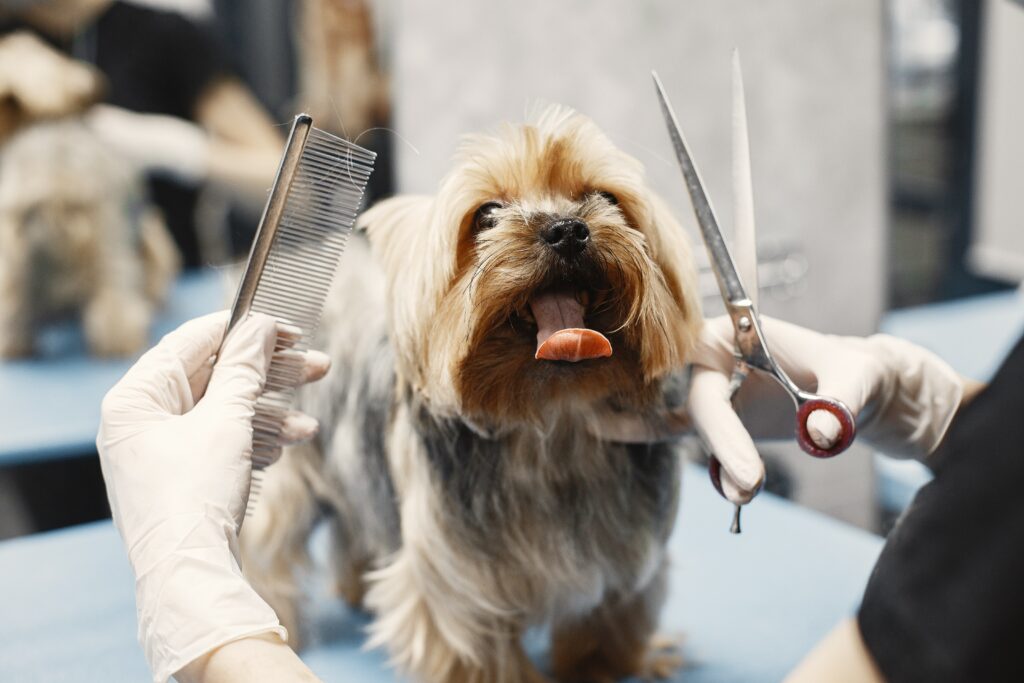 whats included in dog grooming